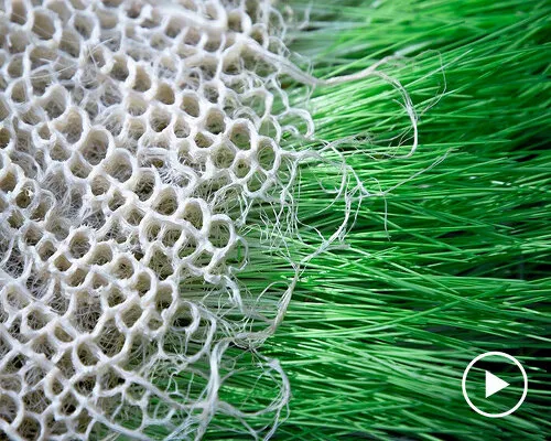 根生藝境：Rootfull 以生物織物與活體設計系統開創永續未來