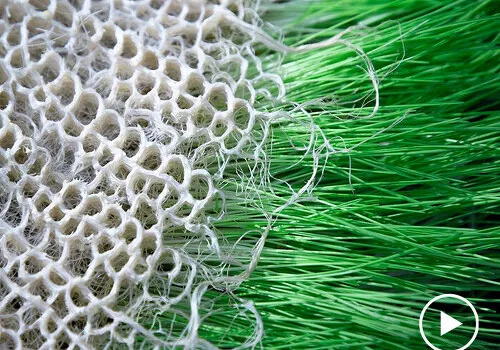 根生藝境：Rootfull 以生物織物與活體設計系統開創永續未來