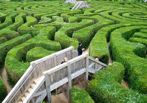 The Poetics of Labyrinths: When Disorientation Becomes an Art Form