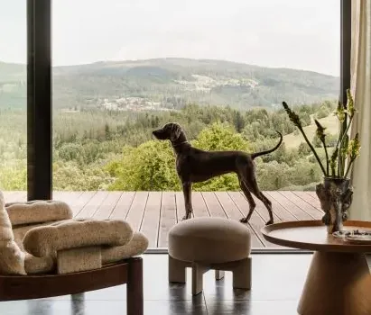 Harmonious Retreats: Eight Cottage Living Rooms Blending Heritage and Modernity